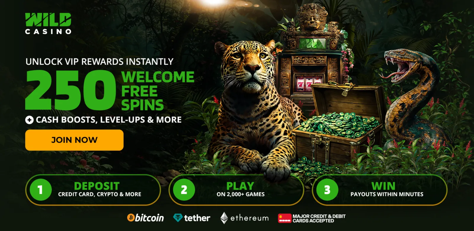 Wild Casino free spins offer: 250 welcome free spins on a first deposit, the closest deal to free spins no deposit casino players can claim